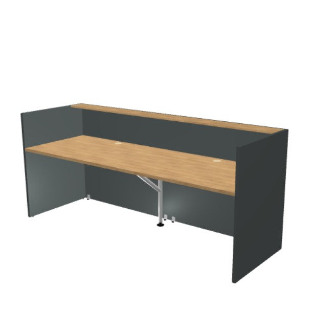 TERA - Banque d'Accueil Droite 245.6x82cm