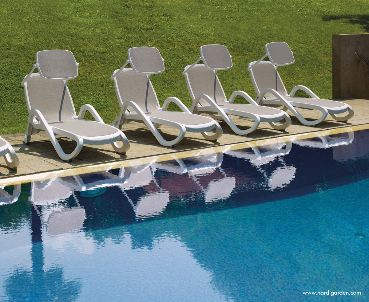 Alfa et Omega - Pare-Soleil