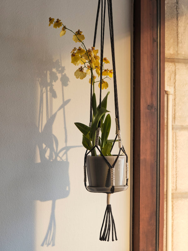 Phanta Plant Hanger HAY