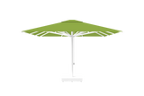 Parasol Adone 550x650cm CREMA