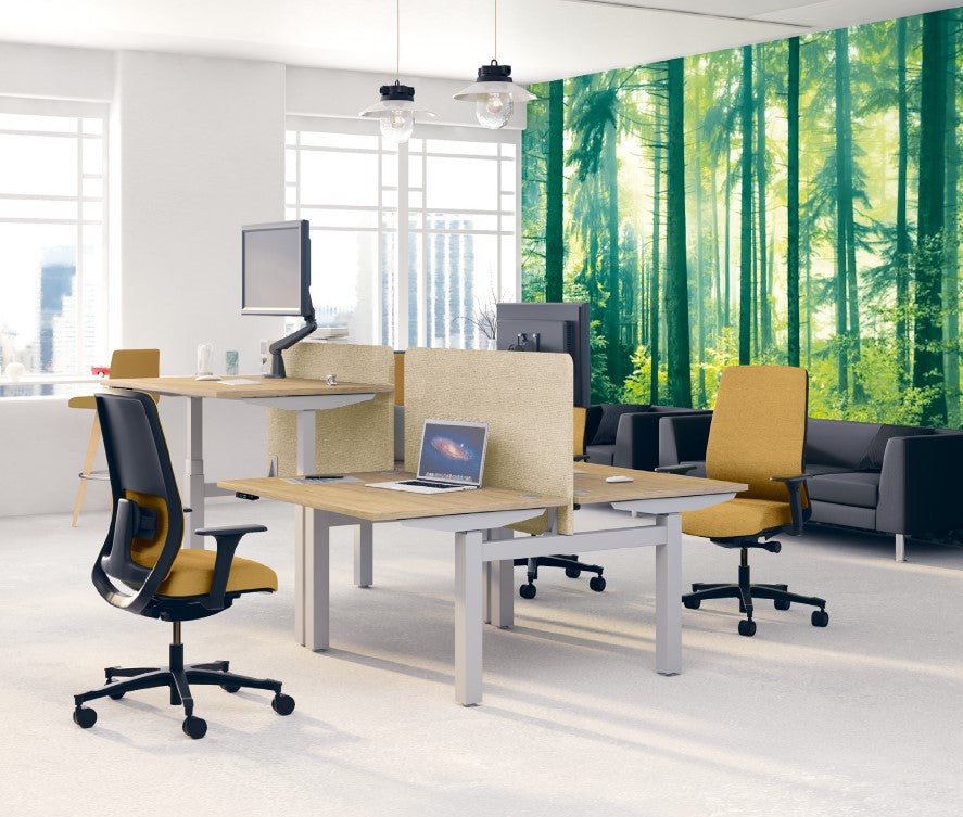 FLEX'UP - Bureau Electrique Réglable en Hauteur Poste Face à face P.160cm